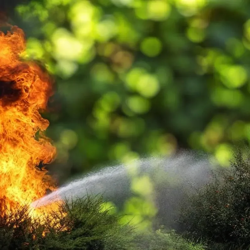 evacuation des dechets Une brouette remplie d'herbe fraîche sur un sol herbeux. évacuation des déchets après le nettoyage du jardin