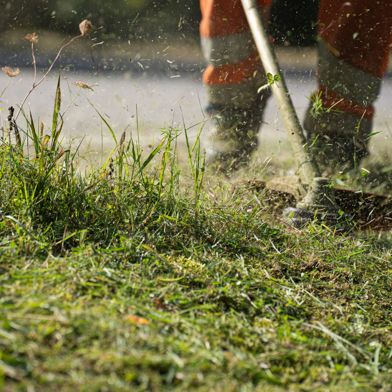 debrousaillage Homme en tenue de jardinage utilisant une débroussailleuse dans un jardin.