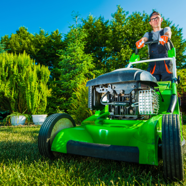 tonte pelouse Tondeuse à gazon sur une pelouse bien entretenue, avec des fleurs en arrière-plan, grace à la societé msj34